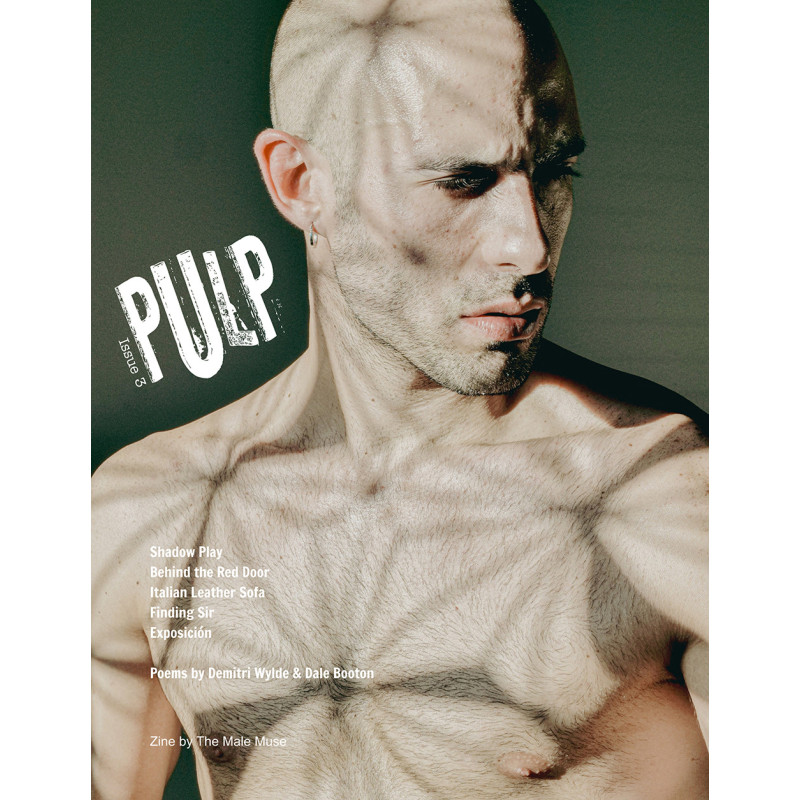 The Male Muse Livre photo PULP n°3